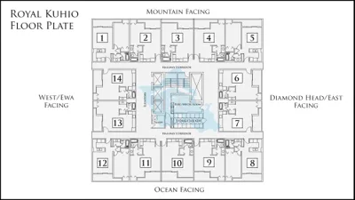 Royal Kuhio Floor Plate