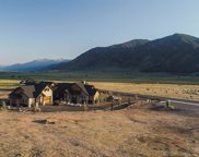 3447 Alura Ln Unit 3, Carson City image