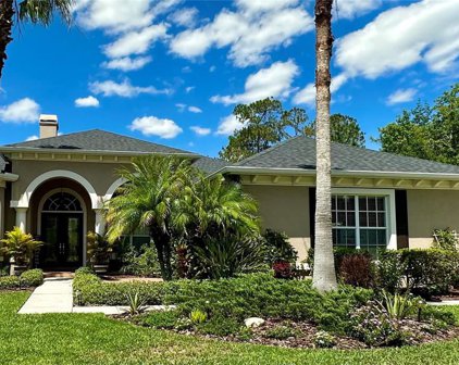 27001 Winged Elm Drive, Wesley Chapel