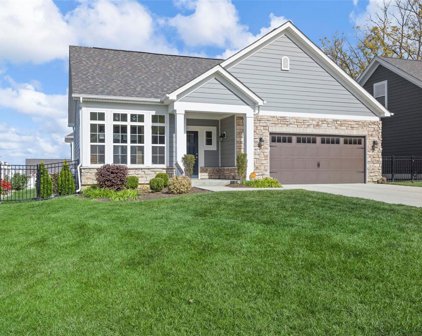 403 Magnolia Blossom  Court, St Charles
