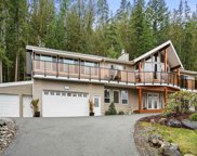 26560 Cunningham Avenue, Maple Ridge image