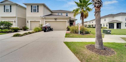 10846 Verawood Drive, Riverview