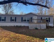520 Sontepe Road, Calera image