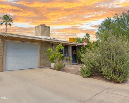 7737 N Nathan Hale, Tucson