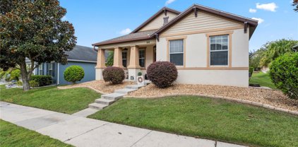 918 Seburn Road, Apopka
