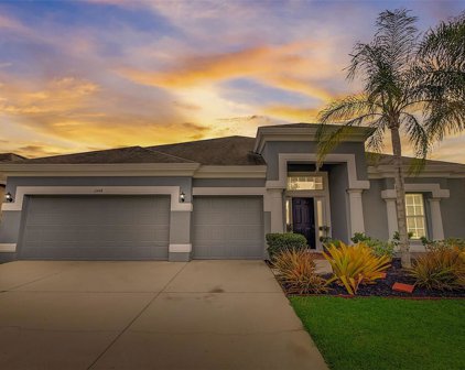 11448 Newgate Crest Drive, Riverview