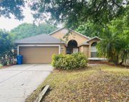 9305 Bianca Court, Riverview image