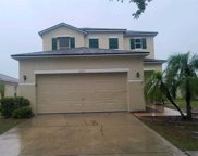 11055 Golden Silence Drive, Riverview image