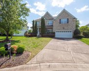 11541 Dartington Ridge  Lane, Charlotte image