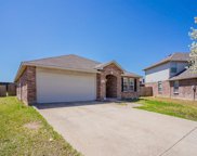 12549 Foxpaw  Trail, Fort Worth image