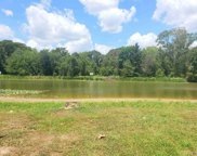 47616 Amite River Rd, St Amant image