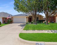 2813 Spotted Owl  Drive, Fort Worth image