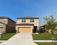 35144 White Water Lily Way, Zephyrhills image