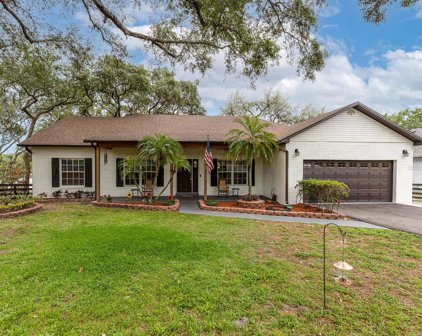 17611 Seidner Road, Winter Garden