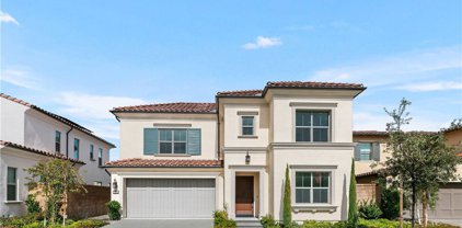131 Parakeet, Irvine