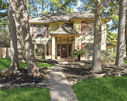 17902 Moss Point Drive, Spring