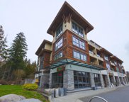 3732 Mt. Seymour Parkway Unit 202, North Vancouver image