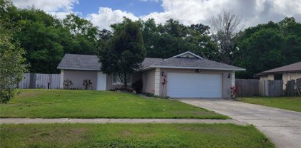 1713 Martinsville Court, Orlando