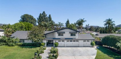 10262 Old Lamplighter Lane, Villa Park
