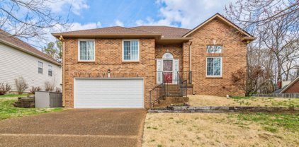 4105 New Hope Meadow Rd, Hermitage