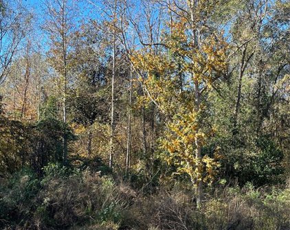 140 Quiet Springs Trail, Willis