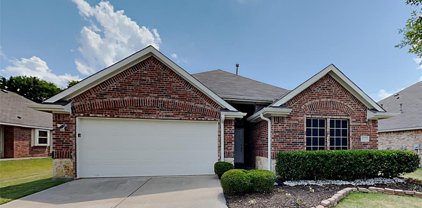 3223 Clear Springs  Drive, Forney
