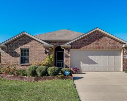 3101 Persimmons  Way, Forney