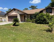 151 Briarcliff Drive, Kissimmee image