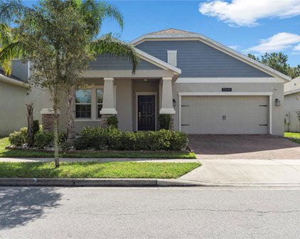 10240 Lovegrass Lane, Orlando