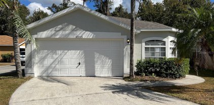 10213 Cody Lane, Orlando
