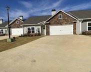 36 Red Camellia Court, Pell City image