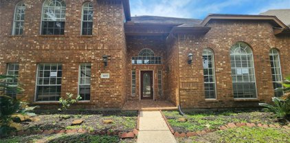 14311 Mindy Park Lane, Houston