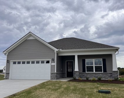 310 Windyhill St, Murfreesboro