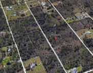 7091 Alan Boulevard, Punta Gorda image