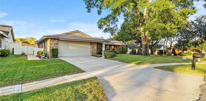 2617 Brecca Court, Apopka