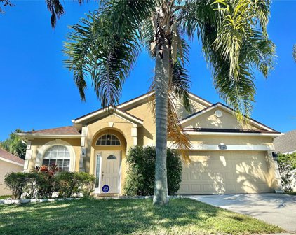 5149 Terra Vista Way, Orlando