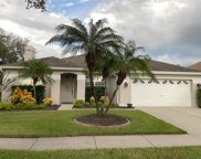 10303 Abbotsford Drive, Tampa image