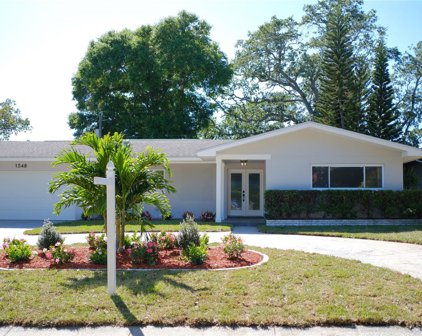 1548 Hill Drive, Largo