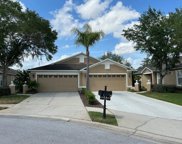 8604 Egret Point Court, Tampa image