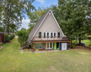 615 Pine Meadow Court, Chapin image