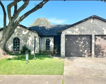 1326 Tiny Tree Drive, Missouri City
