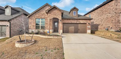 6520 Trail Guide  Lane, Fort Worth