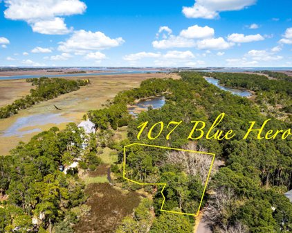 107 Blue Heron Pond Road, Kiawah Island