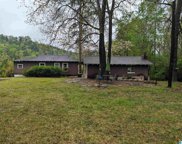 119 Boutwell Road, Adger image