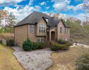 441 Bent Creek Trace, Chelsea image