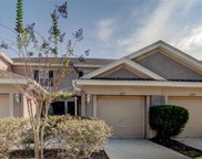 6211 Duck Key Court, Tampa image