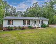 1125 Pet Sites Road, Chapin image