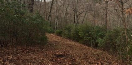 Panther Mountain Road Unit Lot 4, Travelers Rest