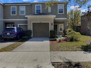6716 Holly Heath Drive, Riverview image