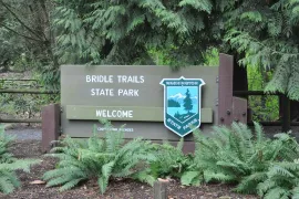 bridle trails state park